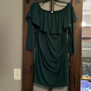 Pinkblush Maternity Dress